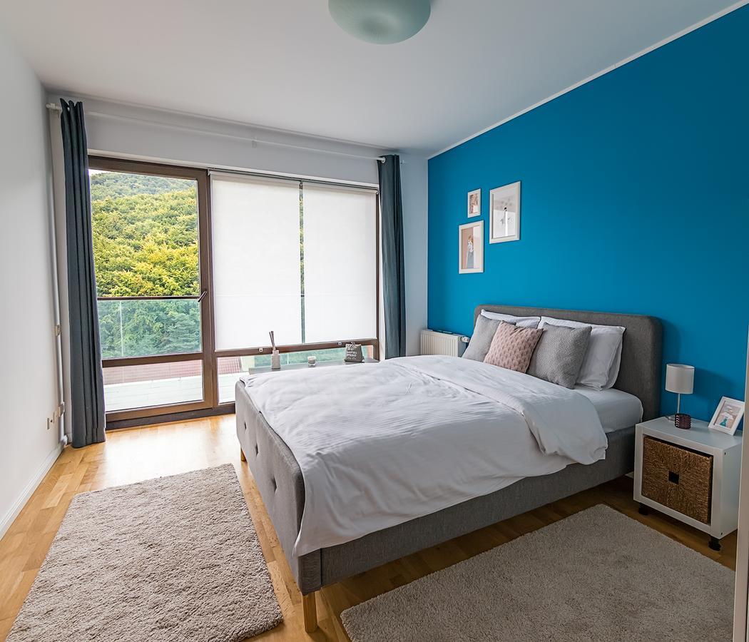 Tampa Gardens - Mountain View Apartment Брашов Экстерьер фото
